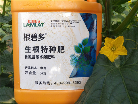 根碧多，菌劑，安碧解