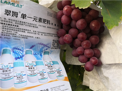 水溶肥，鈣肥，硼肥