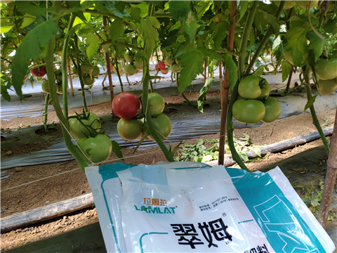 水溶肥，