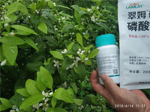水溶肥，根碧多