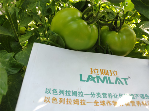 微生物菌劑，拉姆拉，伯示麥