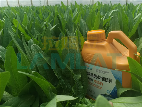 水溶肥，翠姆，拉姆拉